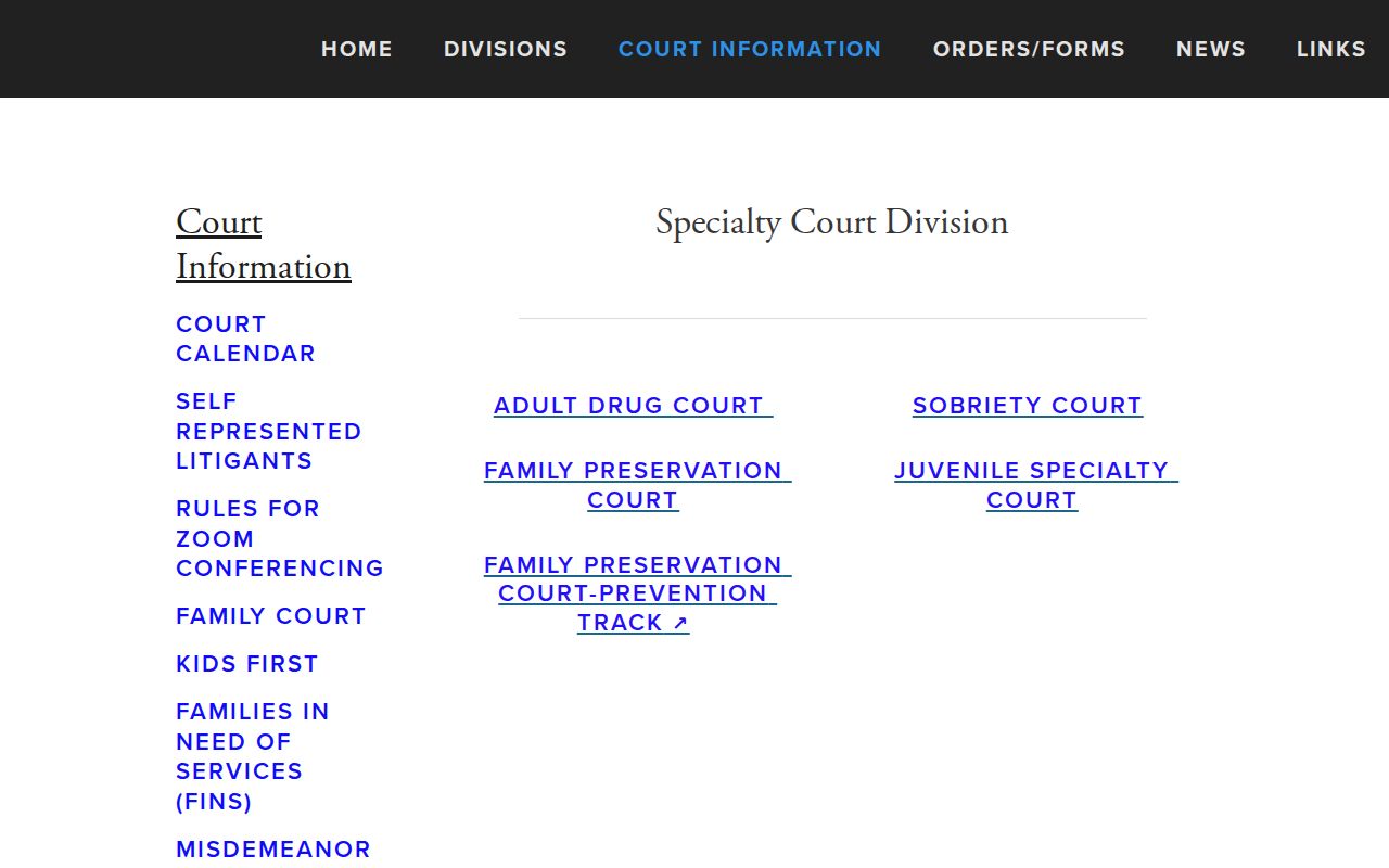 Lafayette Parish criminal docket specialty court program list